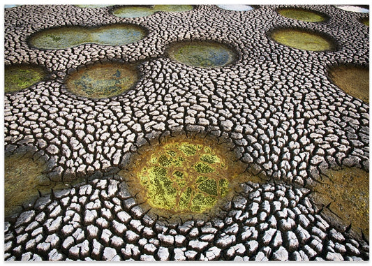 Cracked Earth Pools