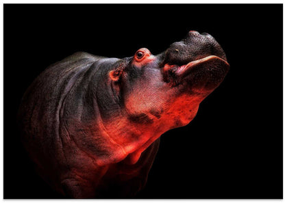Red Glow Hippo