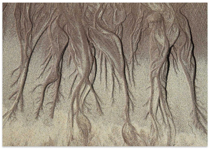 Natural Sand Lines