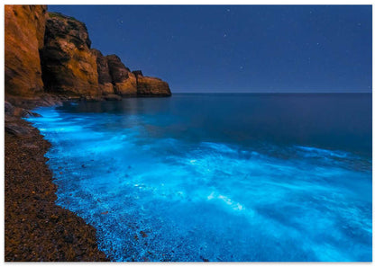 Bioluminescent Ocean Glow