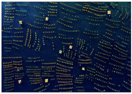 Ocean Farm Patterns