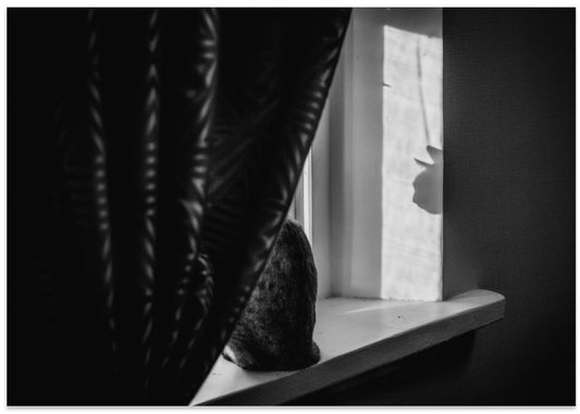 Window Light and Shadow