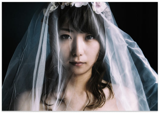 Ethereal Bridal Veil