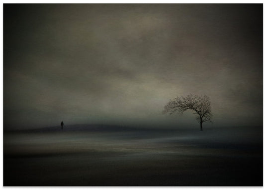 Misty Landscape Solitude