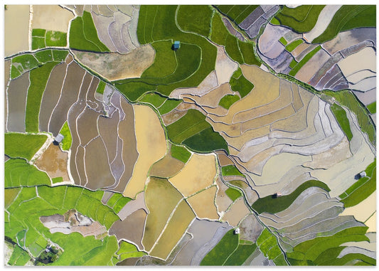 Aerial Rice Terraces