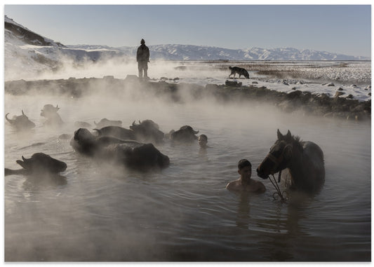 Winter Buffalo Hot Spring