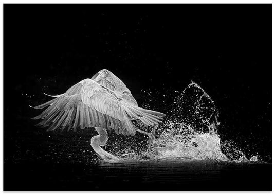 Dynamic Flamingo Splash