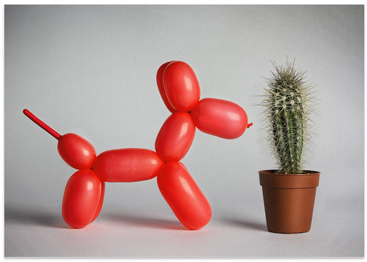 Balloon Dog Meets Cactus