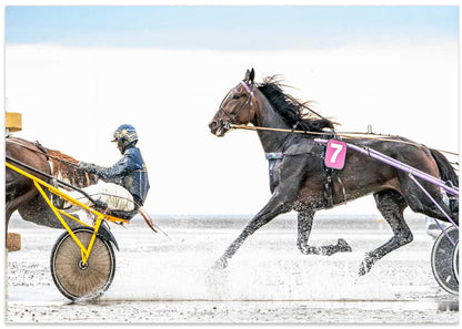 Splashing Horse Race