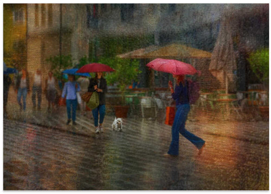 Umbrellas in the Rain