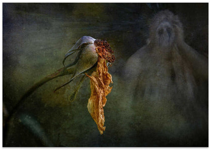 Withered Rose Ghost