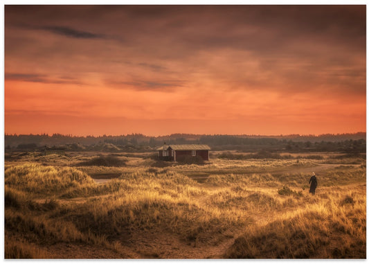 Golden Dunes Red House
