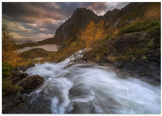 Dramatic Autumn River