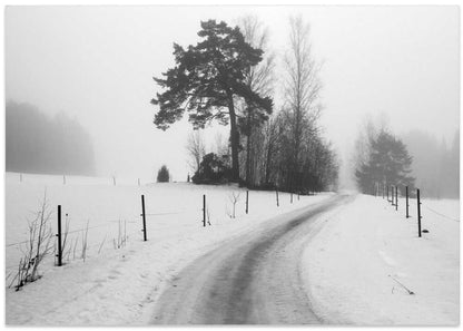 Serene Winter Road