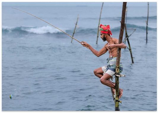 Sri Lankan Stilt Fisherman