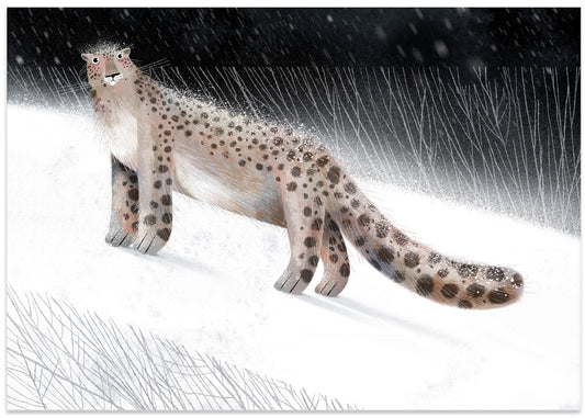 Snow Leopard Winter Night