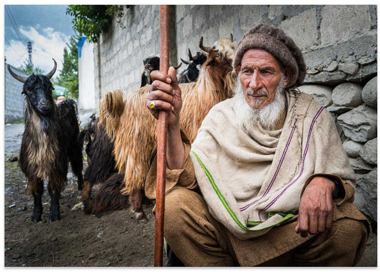 Old Man and Goats