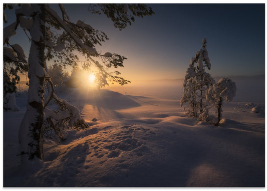 Golden Winter Morning Mist