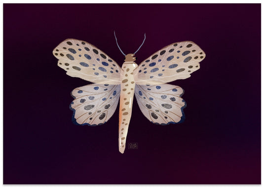 Spotted Butterfly Glow