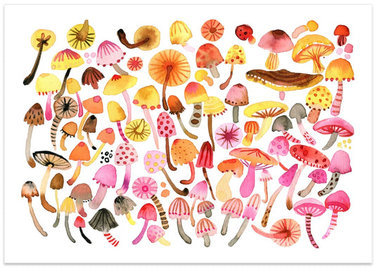 Whimsical Mushroom Collection