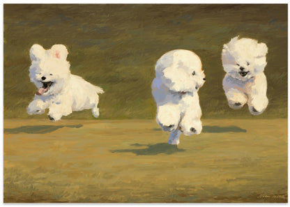 Three Dogs Running