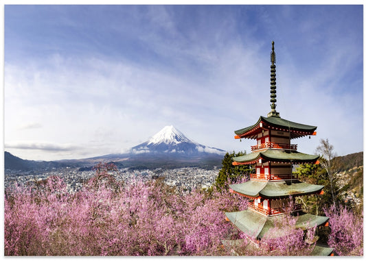 Fuji Pagoda Blossoms