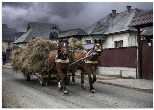 Village Hay Cart