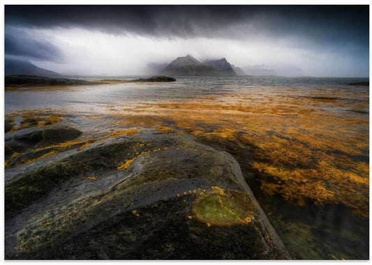 Misty Mountain Coast