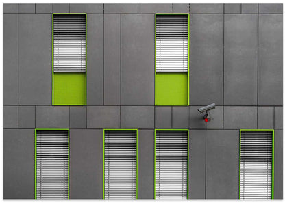 Modern Green Windows