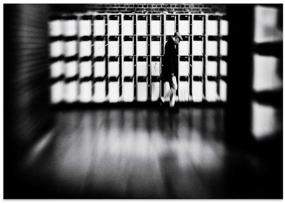 Man In Geometric Hall