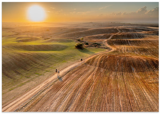 Sunset Field Path