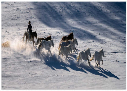 Galloping Horses in Snow