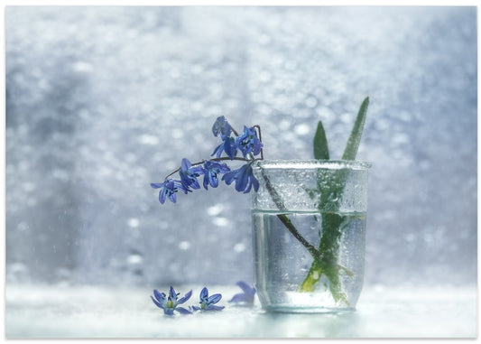 Frosted Blue Blossoms