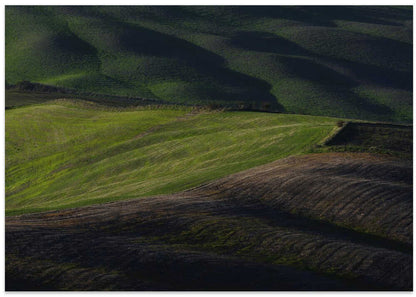 Shadowed Green Fields