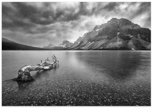 Driftwood Mountain Lake