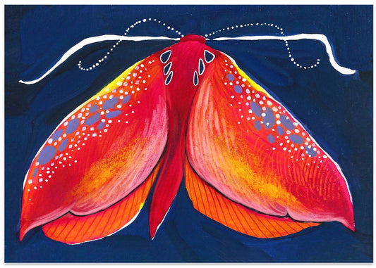 Colorful Night Moth