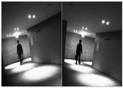 Solitary Walk Through Light