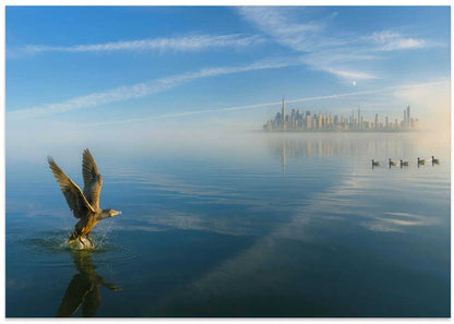 Misty City Bird Takeoff