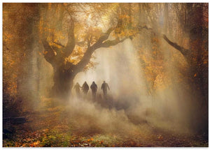 Misty Autumn Forest Walk