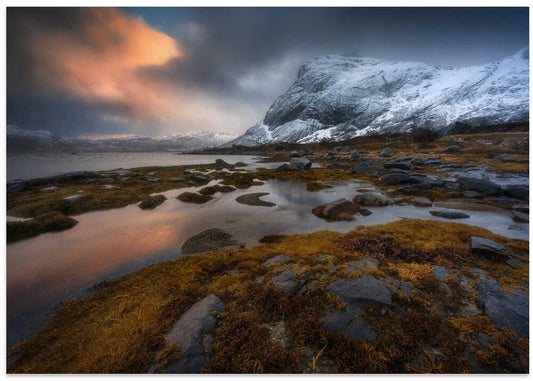 Golden Light Mountain Coast