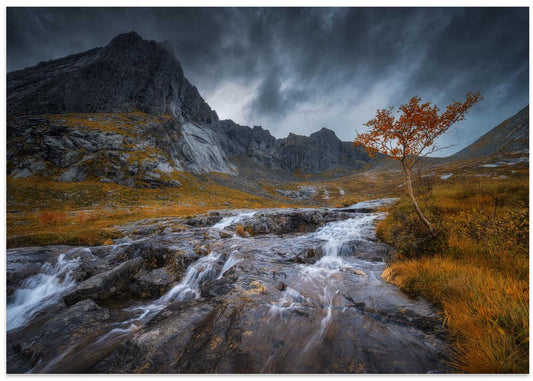Dramatic Autumn Stream