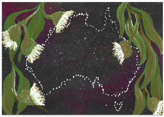 Starry Australian Blossoms