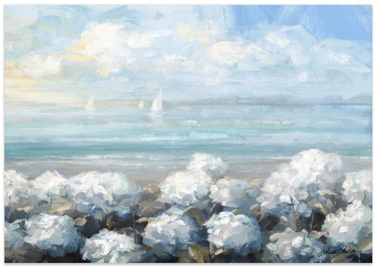 Coastal Hydrangea Serenity