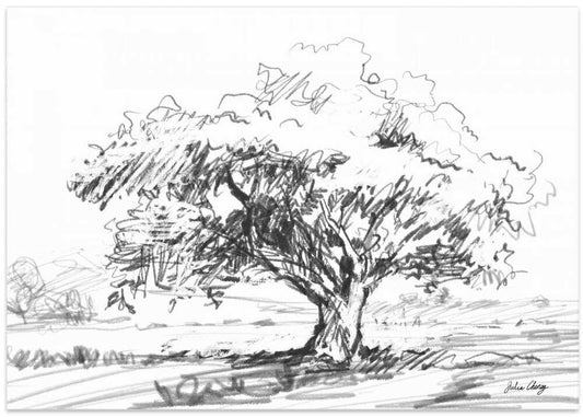 Rustic Tree Drawing
