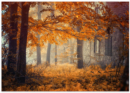 Misty Autumn House