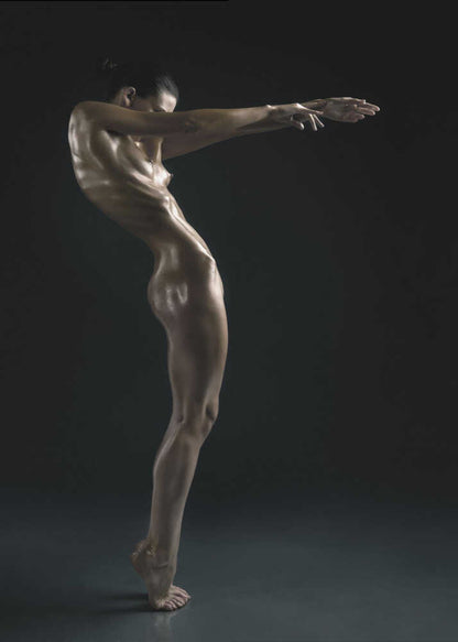 Elegant Dancer Pose