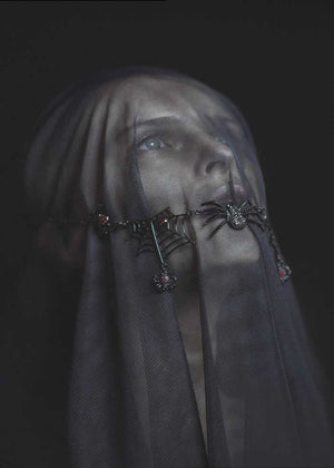 Mysterious Veiled Portrait