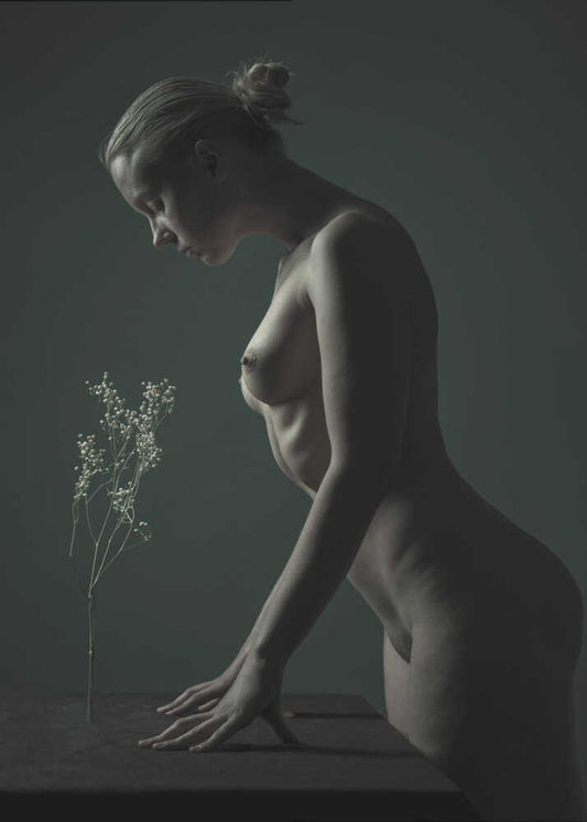 Seed