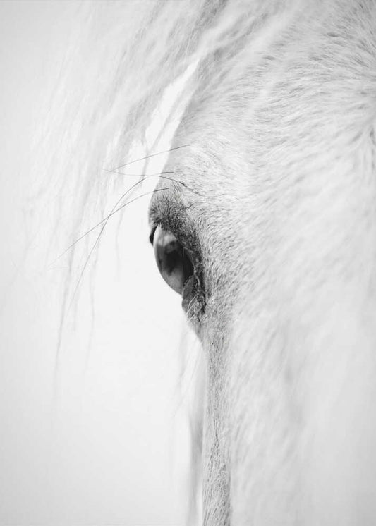 Hose eye