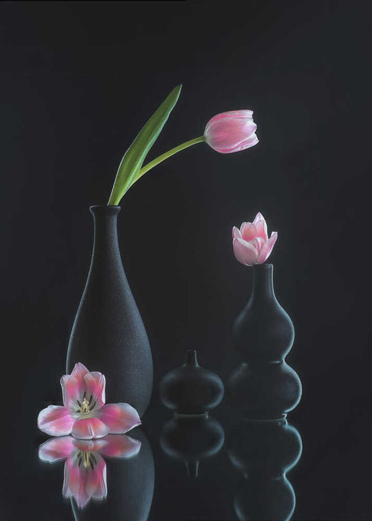 still life 23
